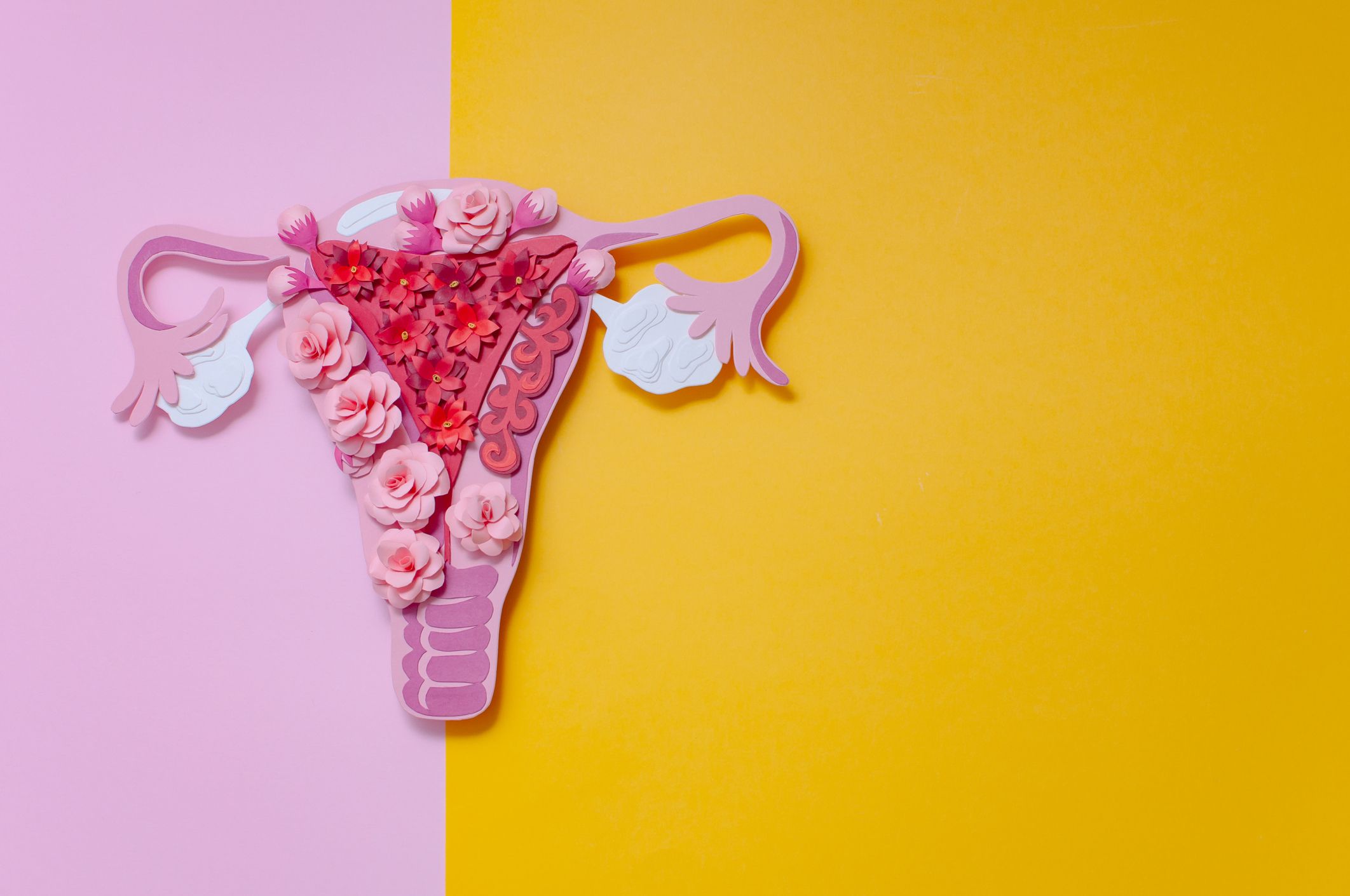 Artistic illustration of the uterus and reproductive structures decorated with pink flowers